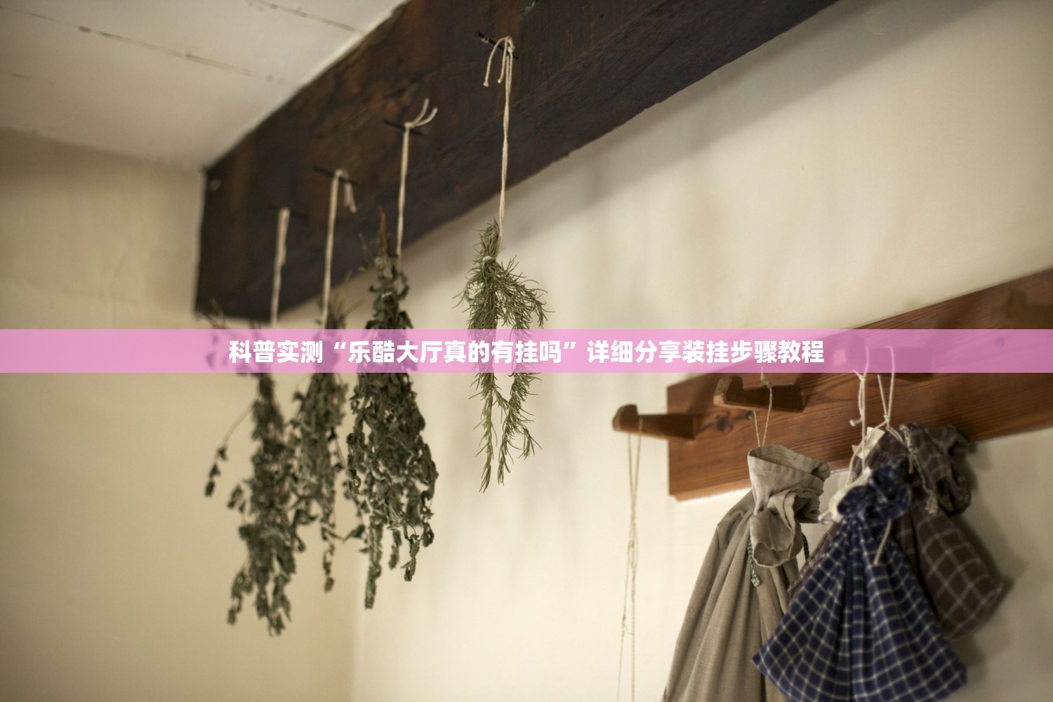 科普实测“乐酷大厅真的有挂吗”详细分享装挂步骤教程