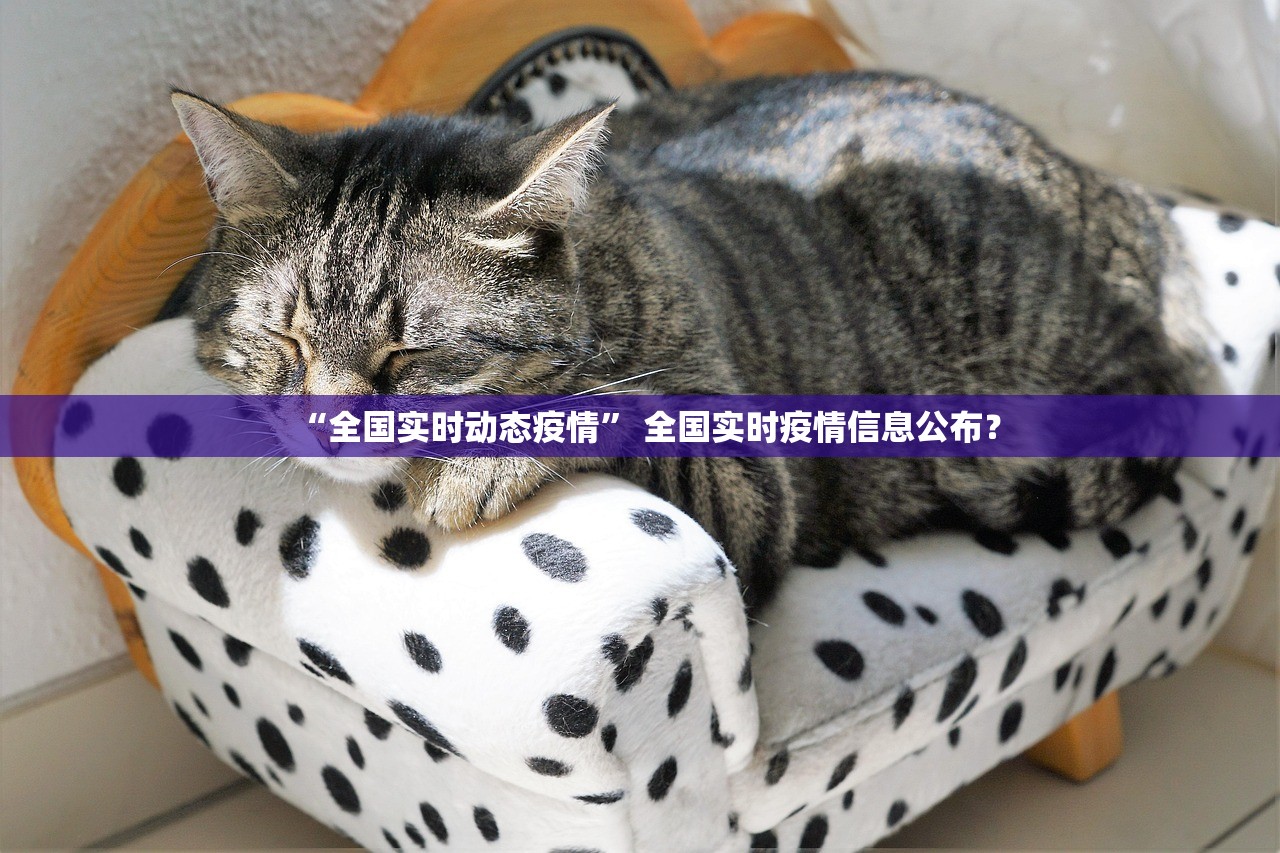 “全国实时动态疫情” 全国实时疫情信息公布？