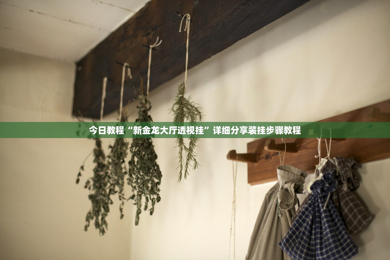 今日教程“新金龙大厅透视挂	”详细分享装挂步骤教程