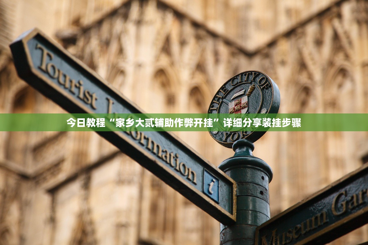 今日教程“家乡大贰辅助作弊开挂”详细分享装挂步骤