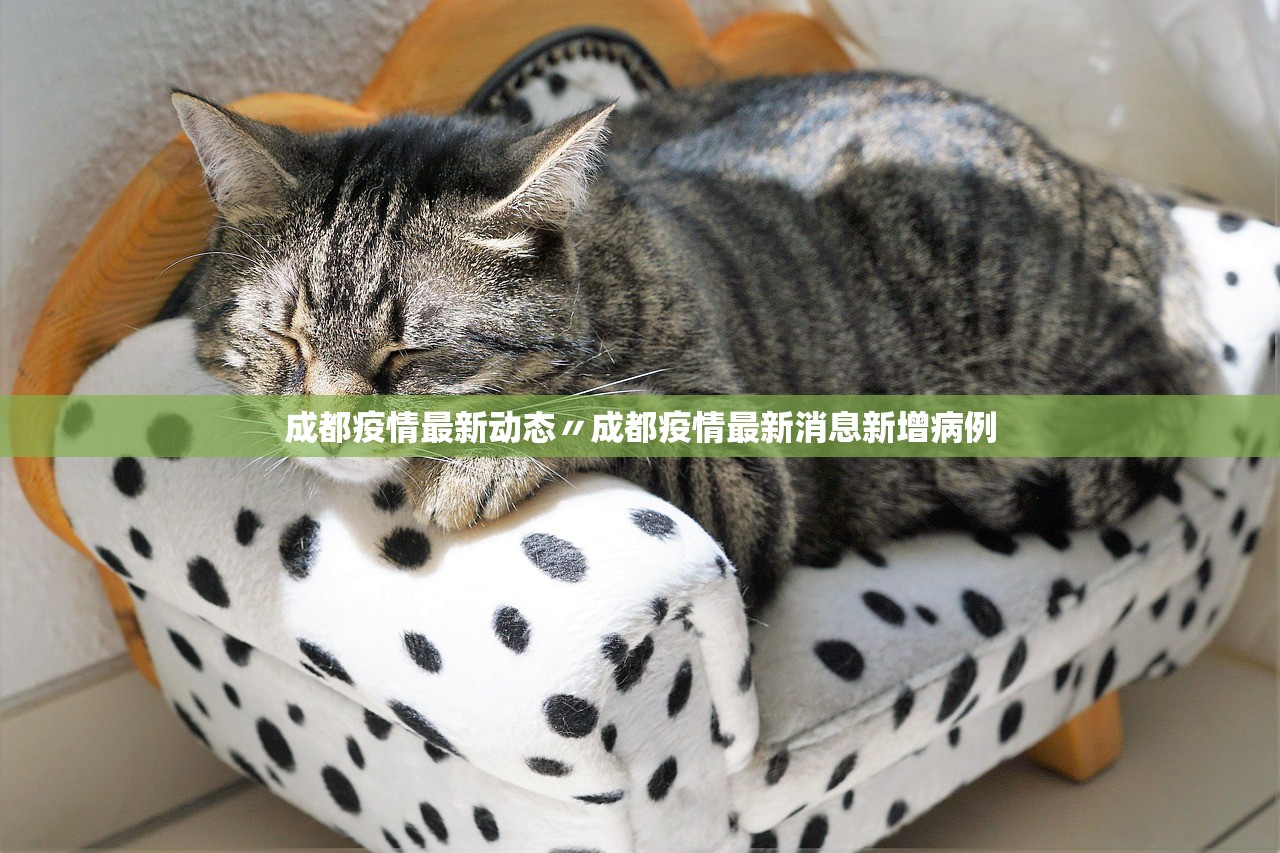 【新疆伊犁游客暂不能离开/伊犁游客可以走了吗】