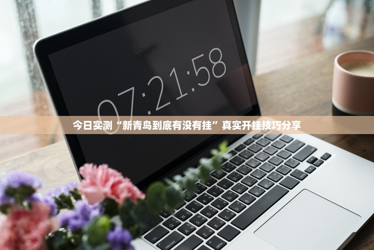 今日实测“新青鸟到底有没有挂”真实开挂技巧分享