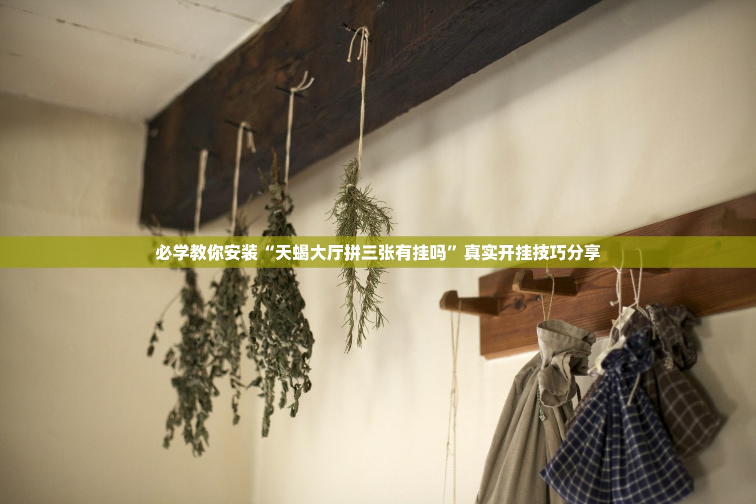 开挂辅助工具“白金岛十胡卡有挂吗”真实开挂技巧分享