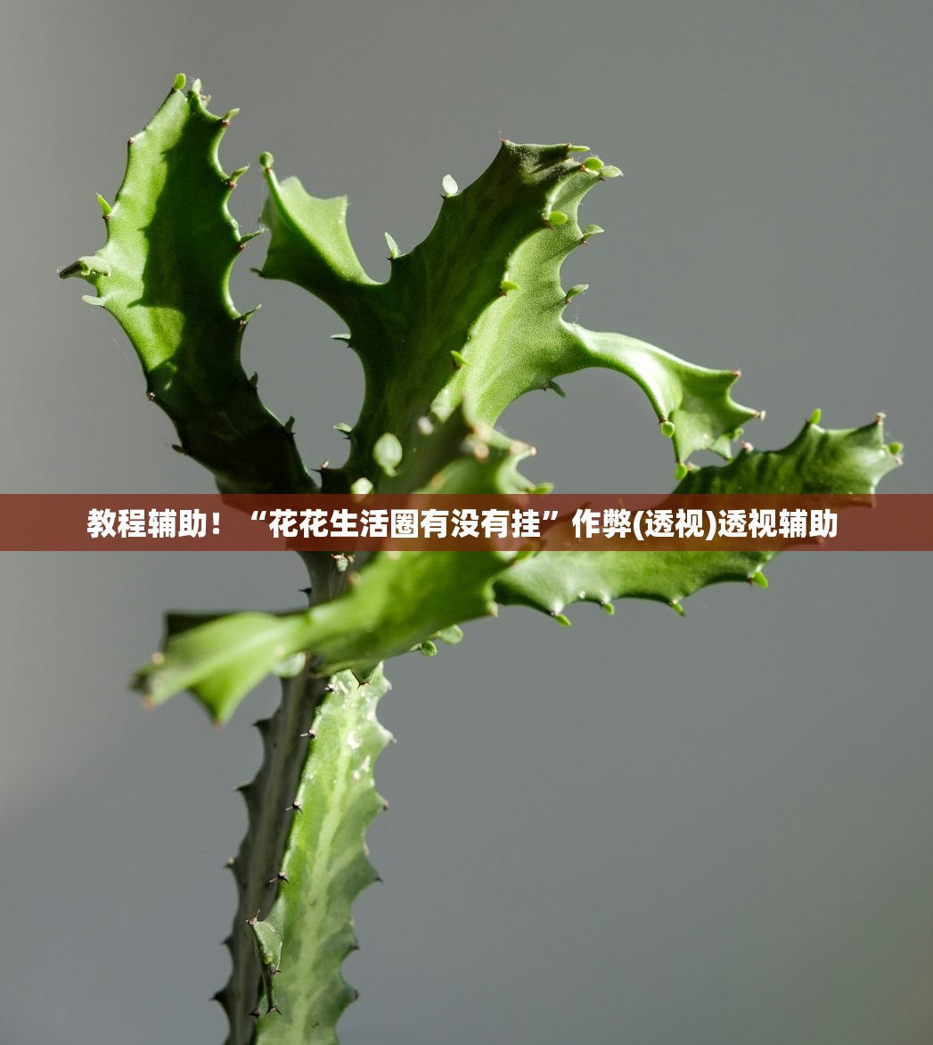 玩家必搜“麦穗推筒子怎么装挂	”详细分享装挂步骤