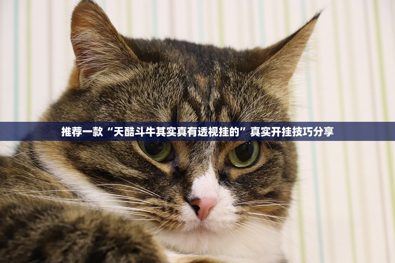 开挂辅助工具“温州茶苑透视挂辅助器下载”真实开挂技巧分享