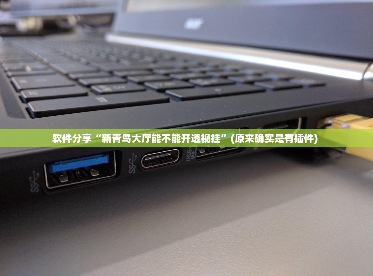 软件分享“新青鸟大厅能不能开透视挂”(原来确实是有插件) 