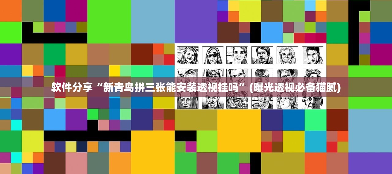 软件分享“新青鸟拼三张能安装透视挂吗	”(曝光透视必备猫腻)