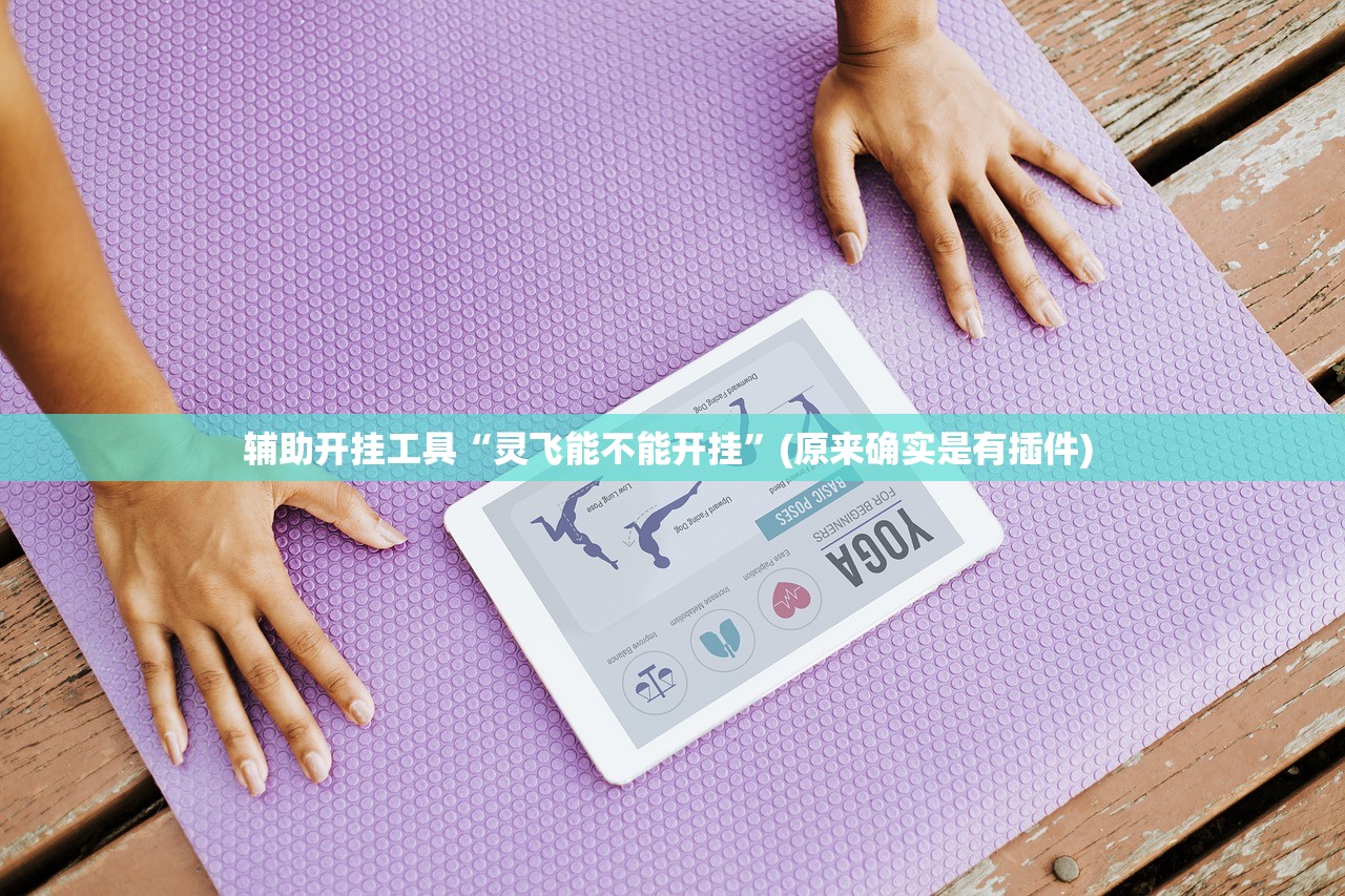 辅助开挂工具“灵飞能不能开挂”(原来确实是有插件) 