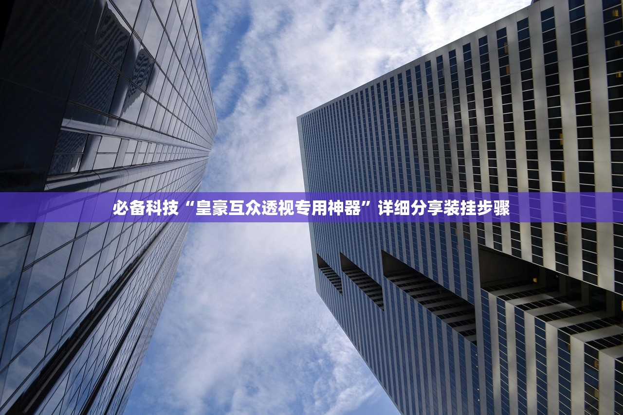 必备科技“皇豪互众透视专用神器”详细分享装挂步骤