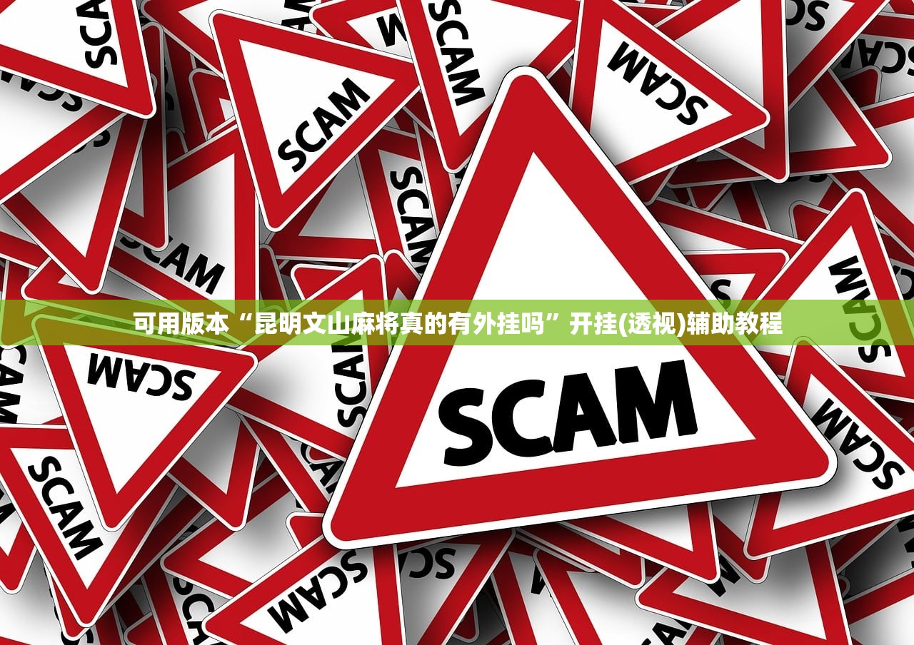 玩家必备攻略“友乐互娱怎么开挂教程”详细分享装挂步骤教程