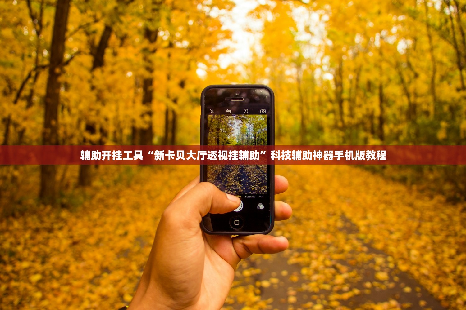 辅助开挂工具“新卡贝大厅透视挂辅助”科技辅助神器手机版教程