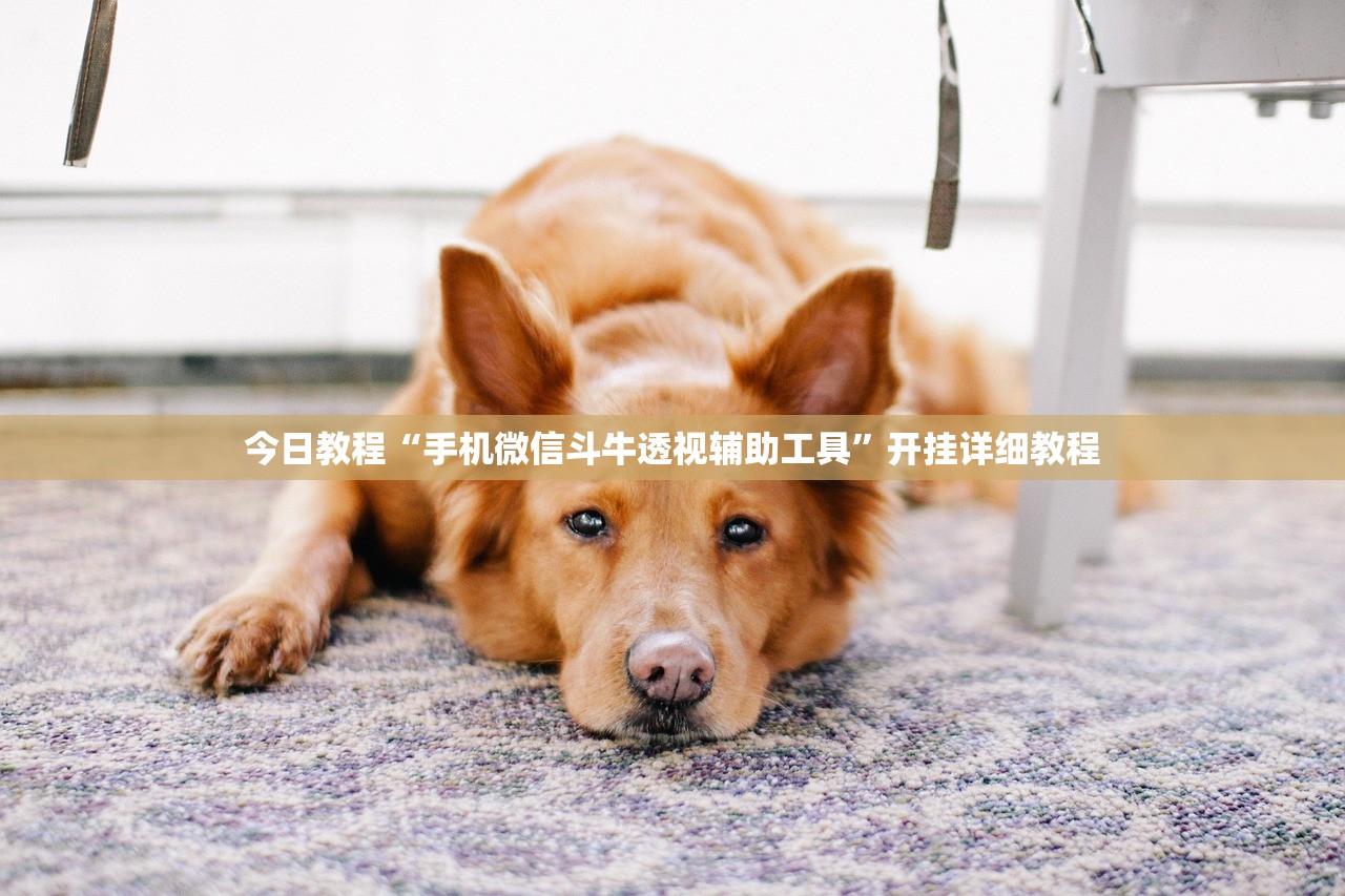 今日教程“手机微信斗牛透视辅助工具”开挂详细教程