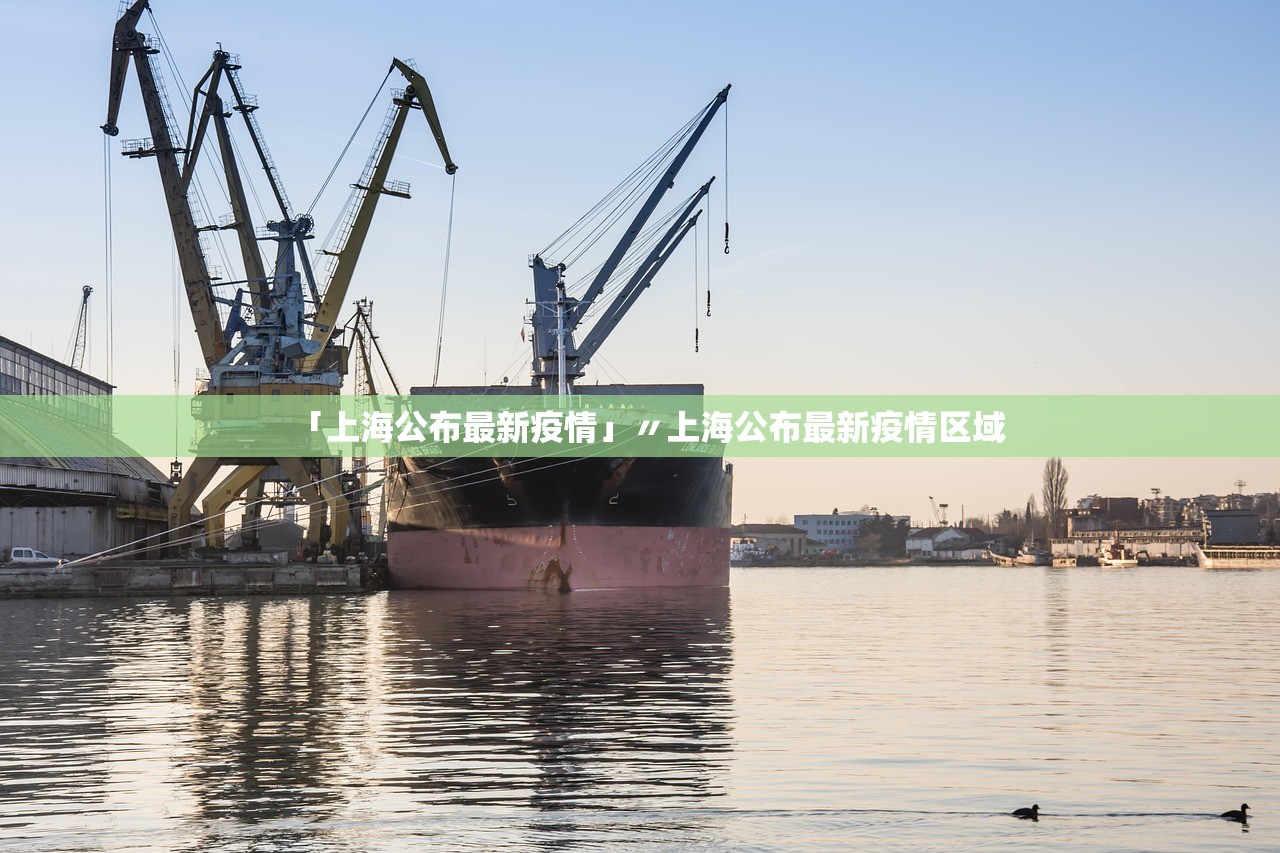 「上海公布最新疫情」〃上海公布最新疫情区域