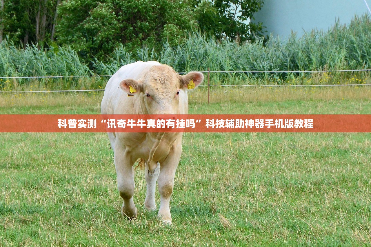 科普实测“讯奇牛牛真的有挂吗”科技辅助神器手机版教程