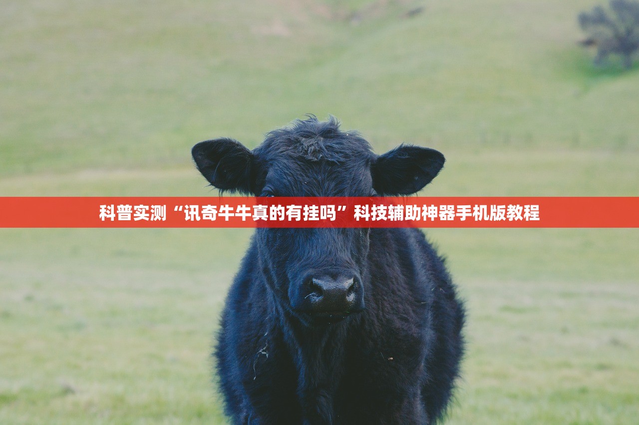 科普实测“讯奇牛牛真的有挂吗	”科技辅助神器手机版教程