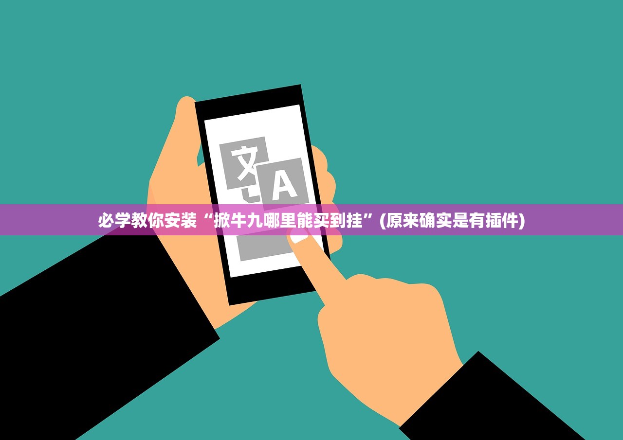 必学教你安装“掀牛九哪里能买到挂”(原来确实是有插件)