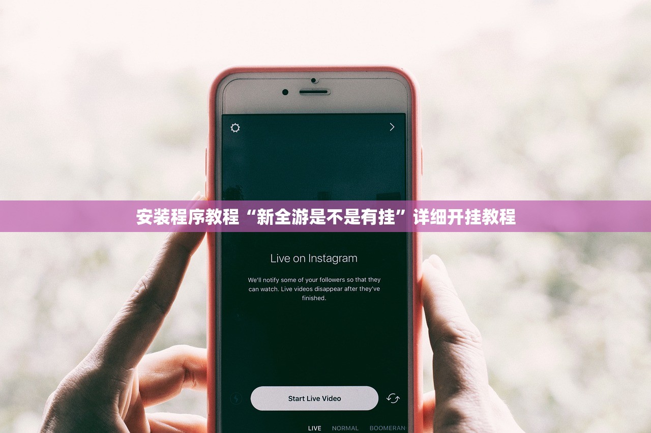 安装程序教程“新全游是不是有挂”详细开挂教程