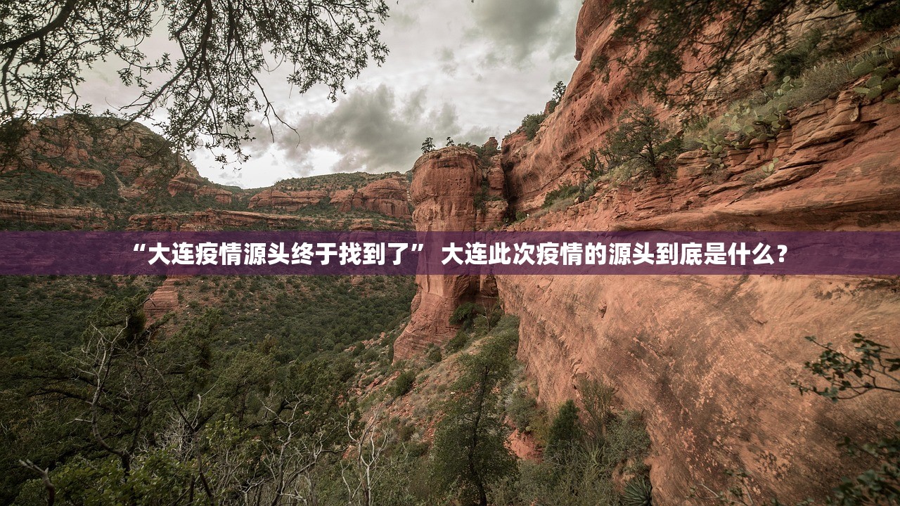 “大连疫情源头终于找到了	” 大连此次疫情的源头到底是什么？