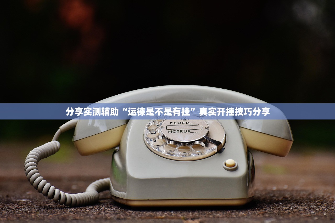 分享实测辅助“运徕是不是有挂”真实开挂技巧分享