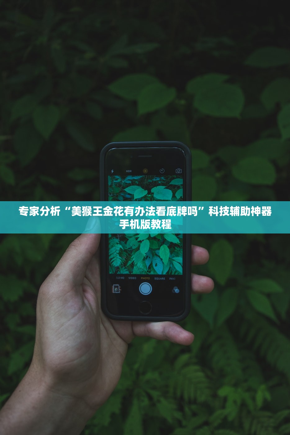 专家分析“美猴王金花有办法看底牌吗”科技辅助神器手机版教程