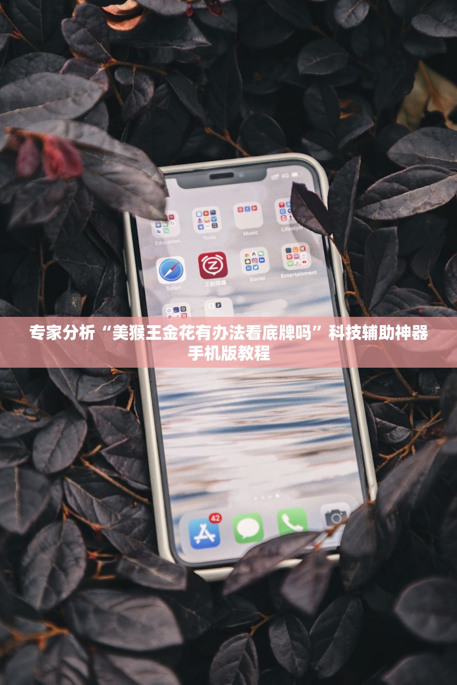专家分析“美猴王金花有办法看底牌吗”科技辅助神器手机版教程