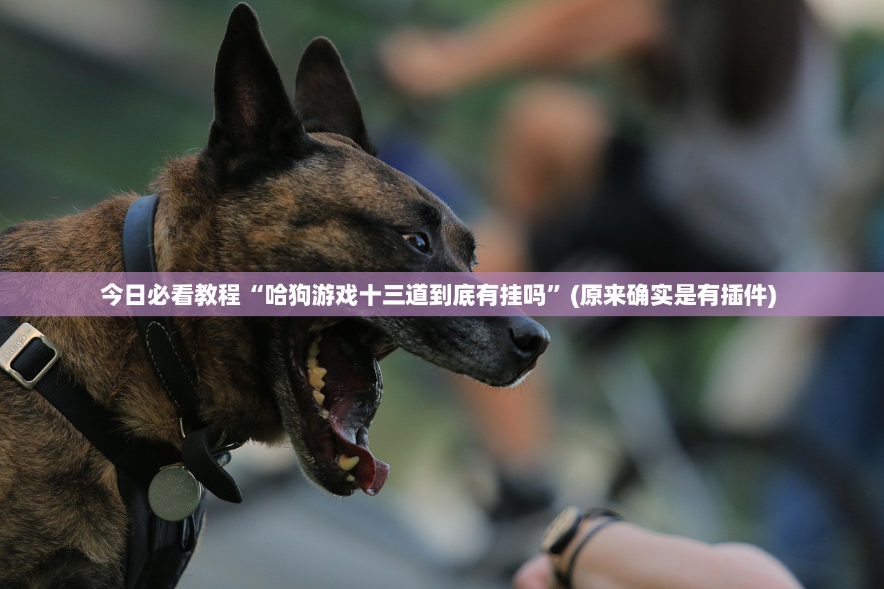 今日必看教程“哈狗游戏十三道到底有挂吗”(原来确实是有插件) 