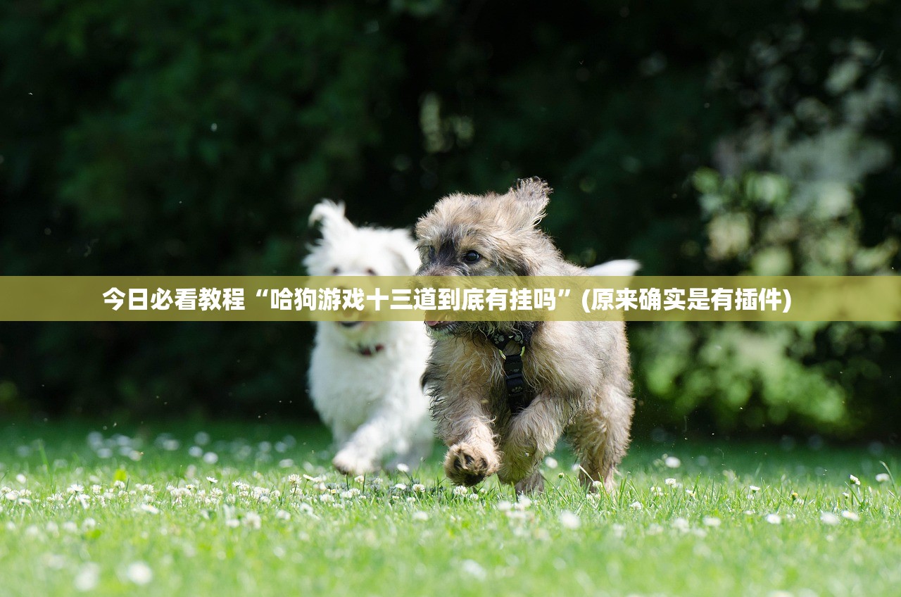 今日必看教程“哈狗游戏十三道到底有挂吗”(原来确实是有插件) 
