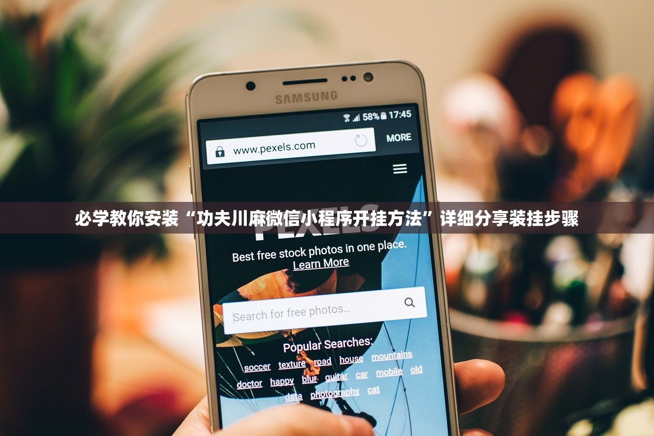 必学教你安装“功夫川麻微信小程序开挂方法”详细分享装挂步骤
