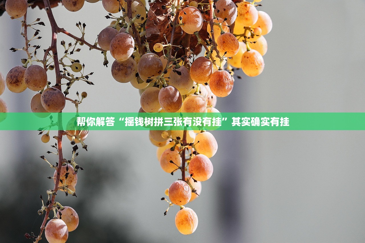 帮你解答“摇钱树拼三张有没有挂	”其实确实有挂