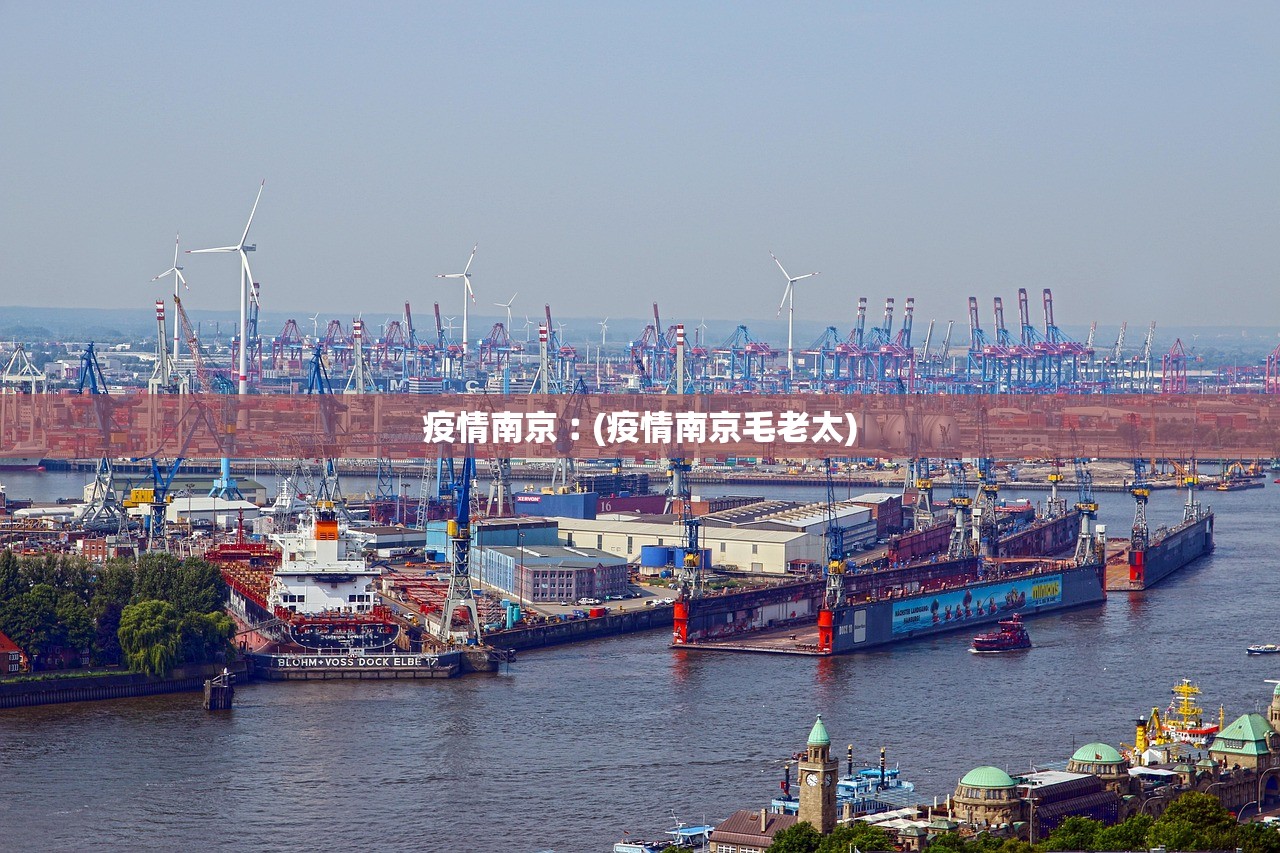 疫情南京︰(疫情南京毛老太)