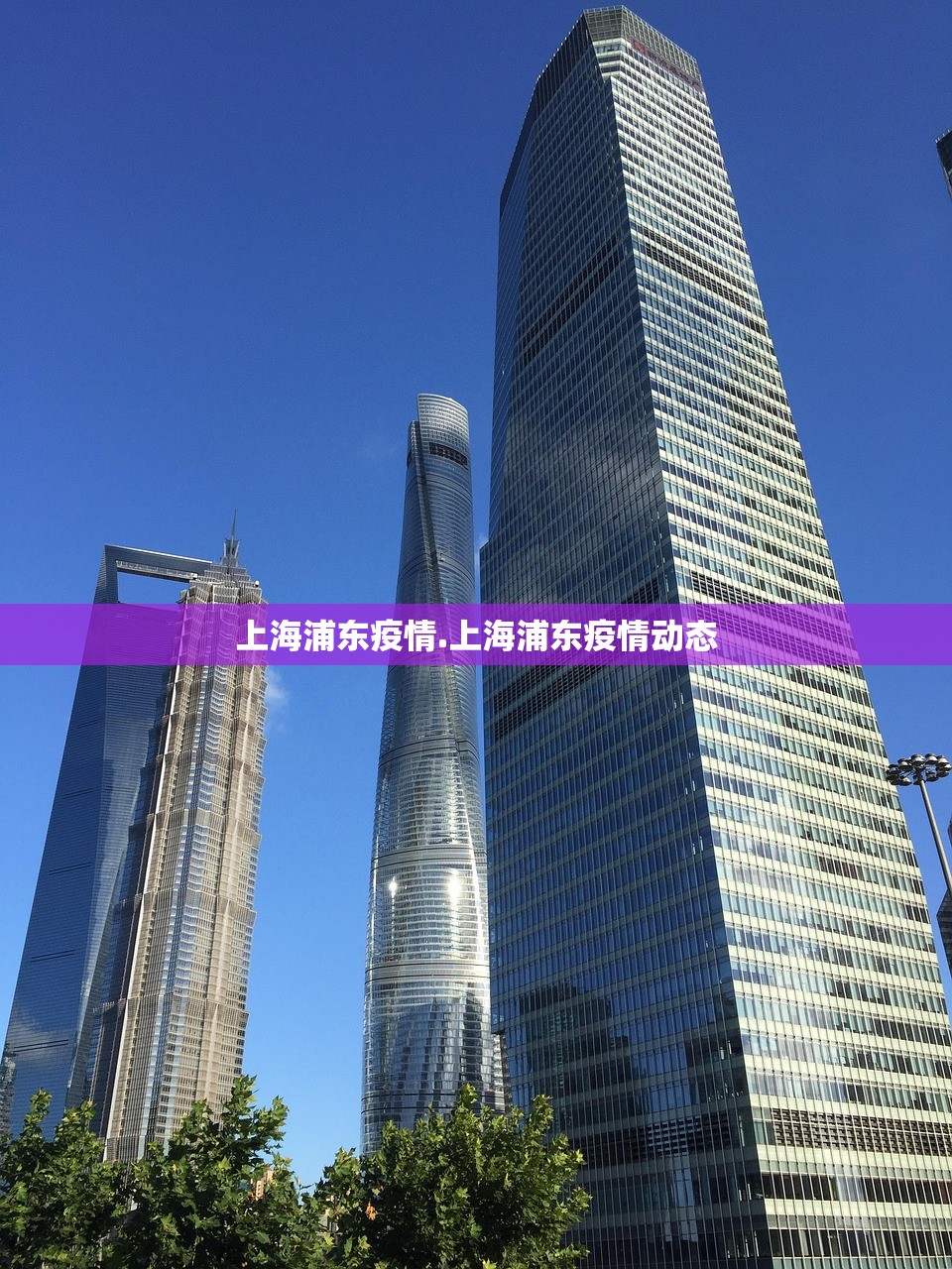 上海浦东疫情.上海浦东疫情动态