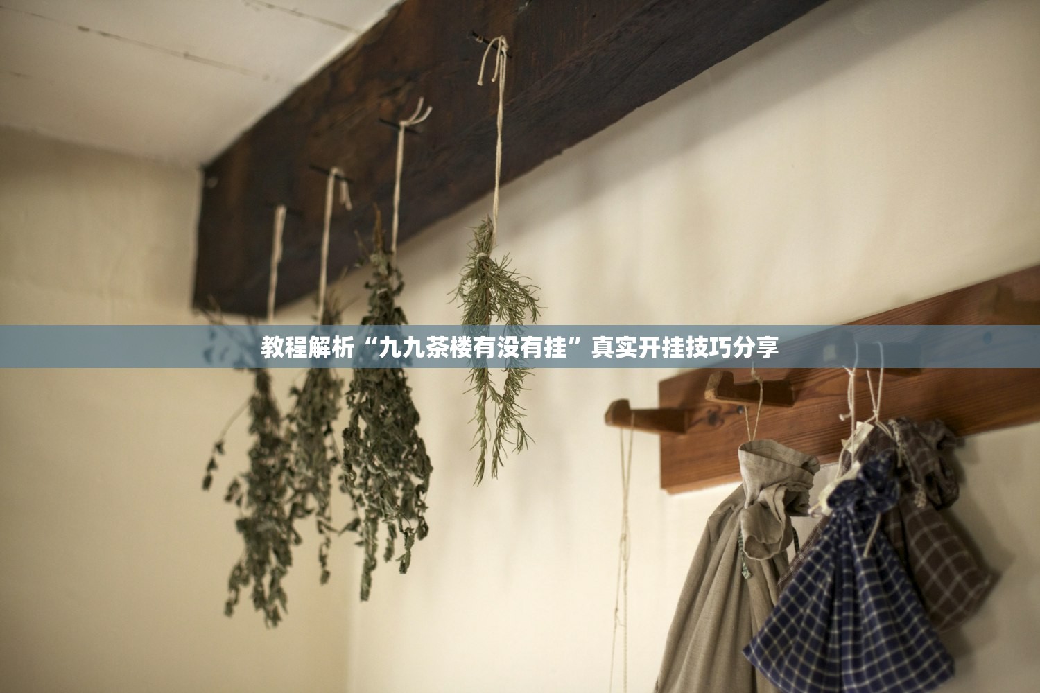 教程解析“九九茶楼有没有挂”真实开挂技巧分享