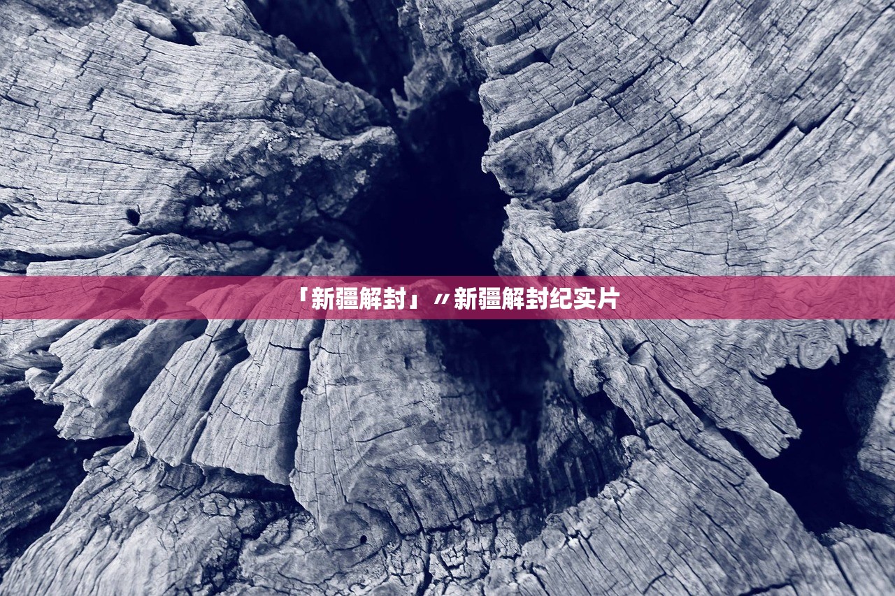「新疆解封」〃新疆解封纪实片
