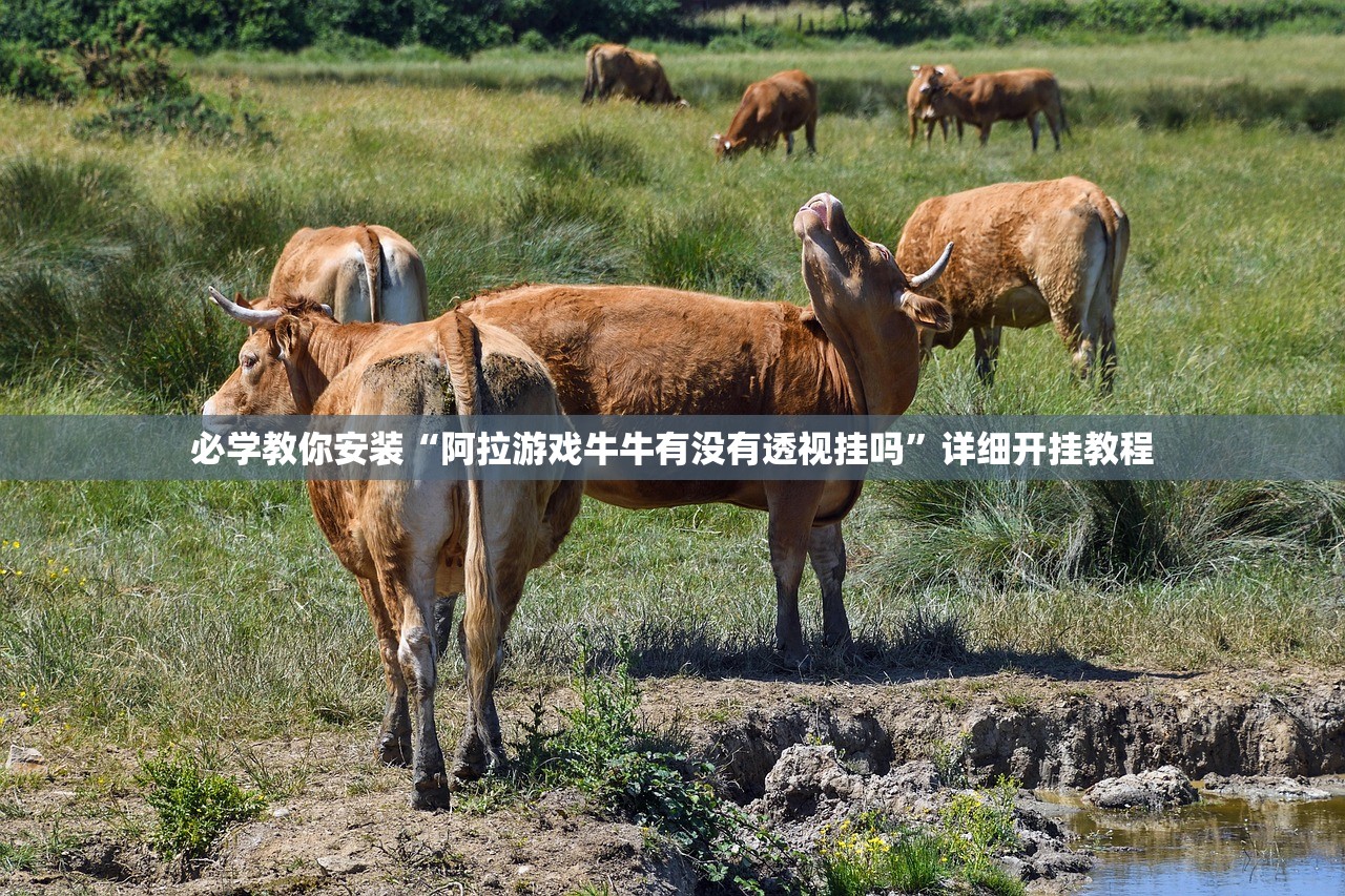 必学教你安装“阿拉游戏牛牛有没有透视挂吗”详细开挂教程