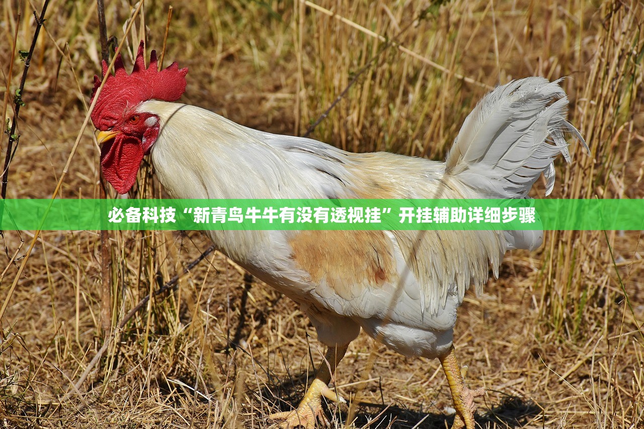 必备科技“新青鸟牛牛有没有透视挂”开挂辅助详细步骤