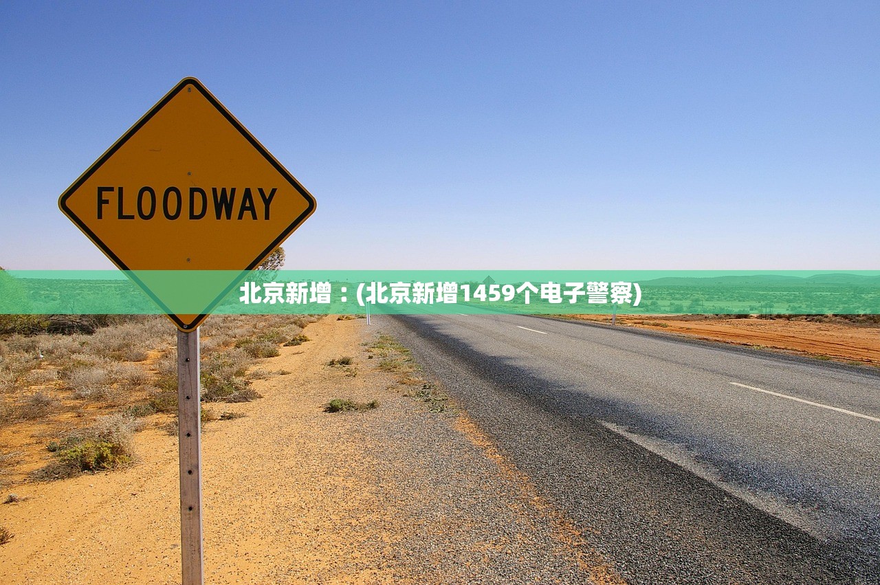北京新增︰(北京新增1459个电子警察)