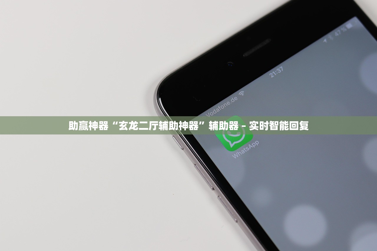 助赢神器“玄龙二厅辅助神器”辅助器 – 实时智能回复