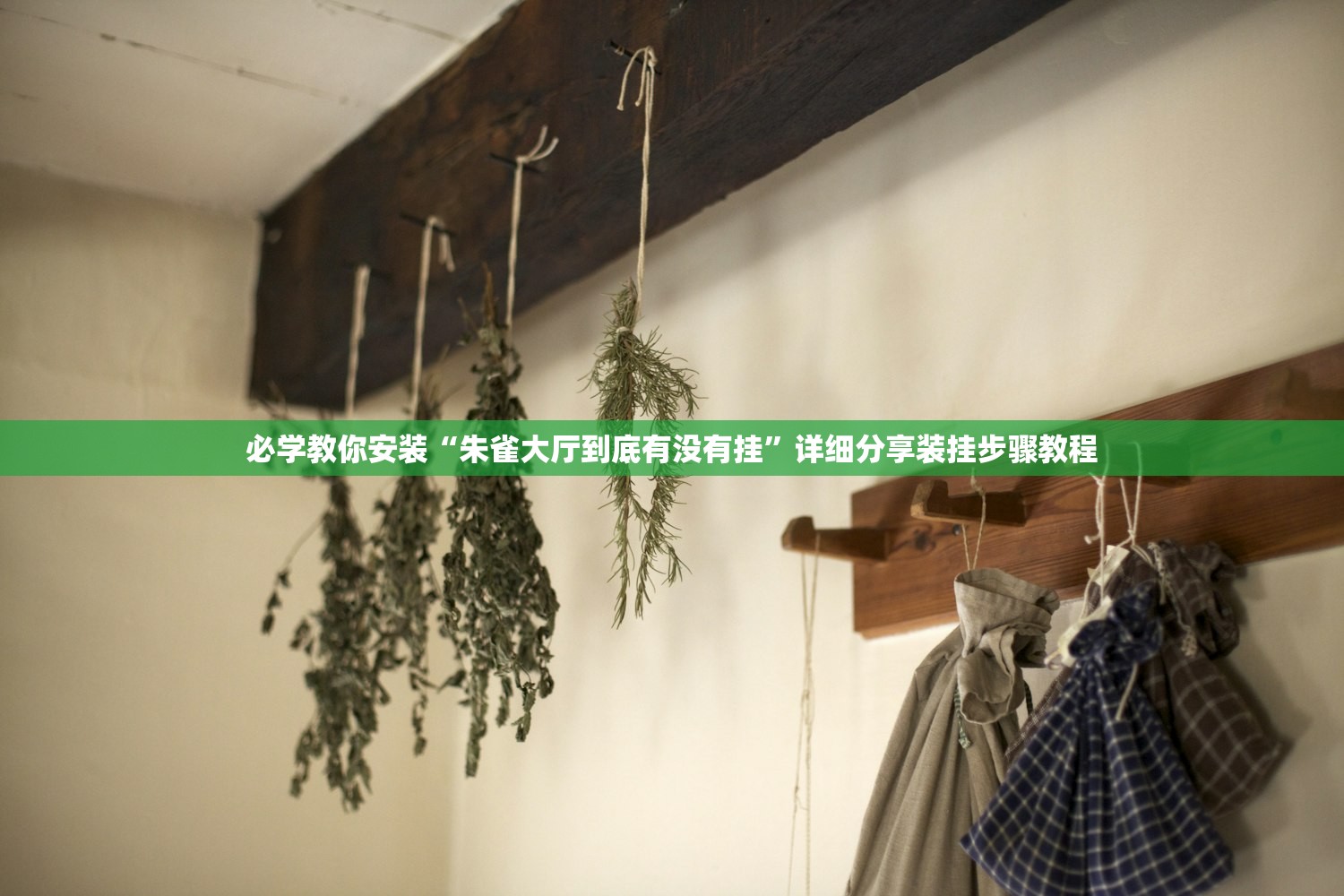 必学教你安装“朱雀大厅到底有没有挂”详细分享装挂步骤教程