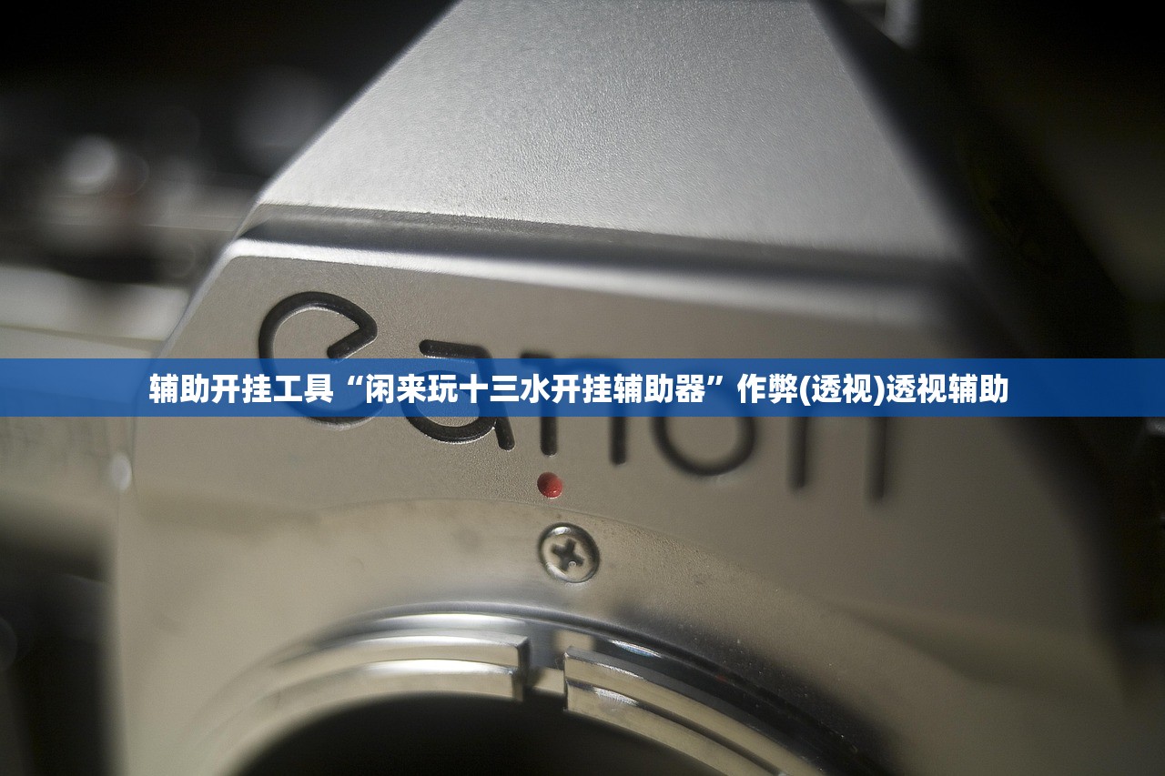辅助开挂工具“闲来玩十三水开挂辅助器	”作弊(透视)透视辅助 