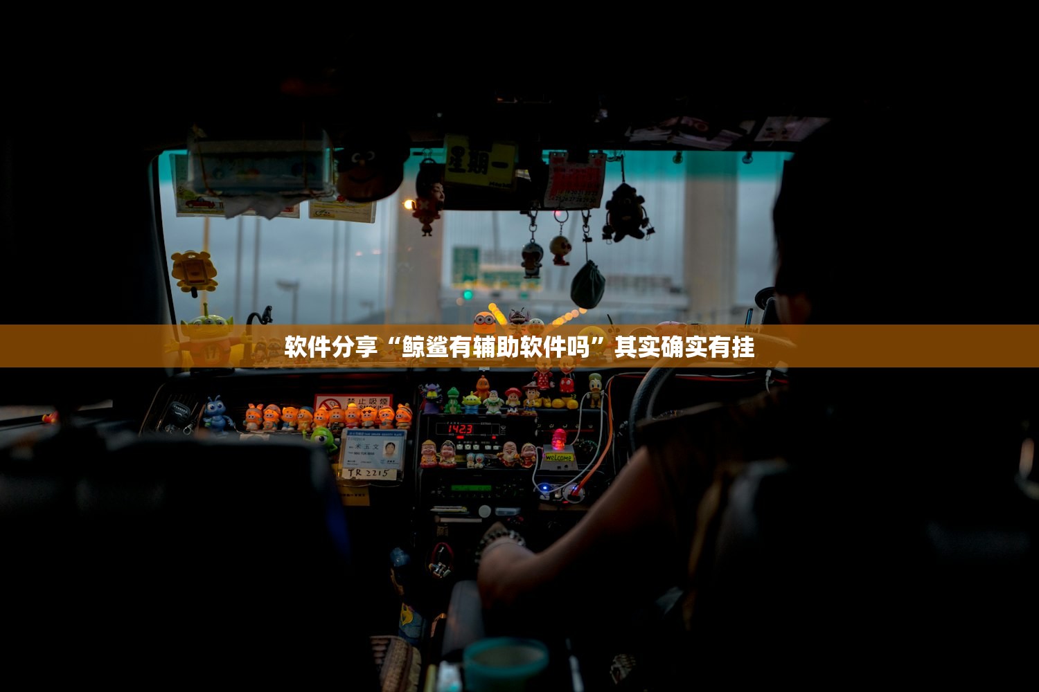 软件分享“鲸鲨有辅助软件吗	”其实确实有挂