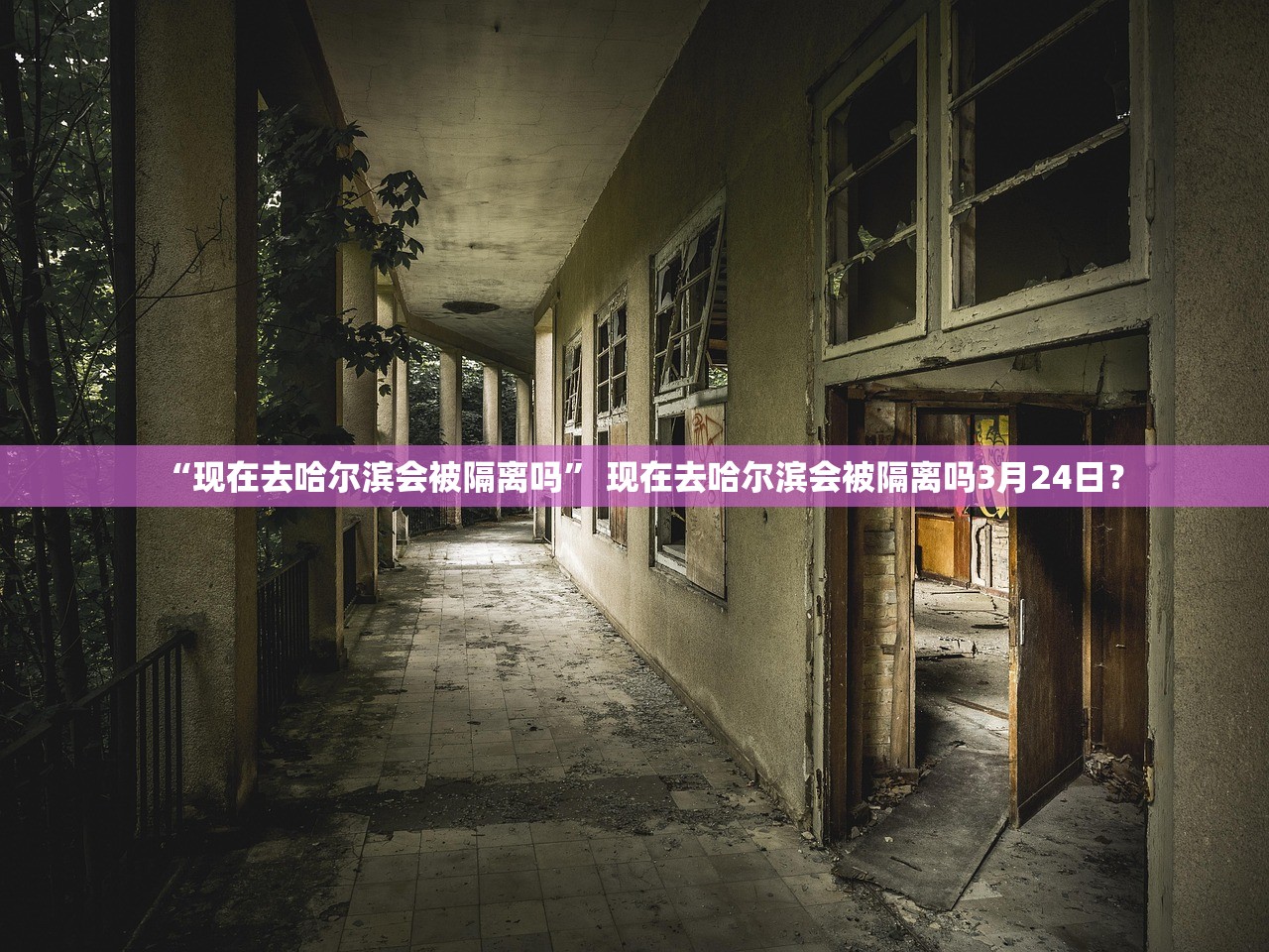 “现在去哈尔滨会被隔离吗” 现在去哈尔滨会被隔离吗3月24日？