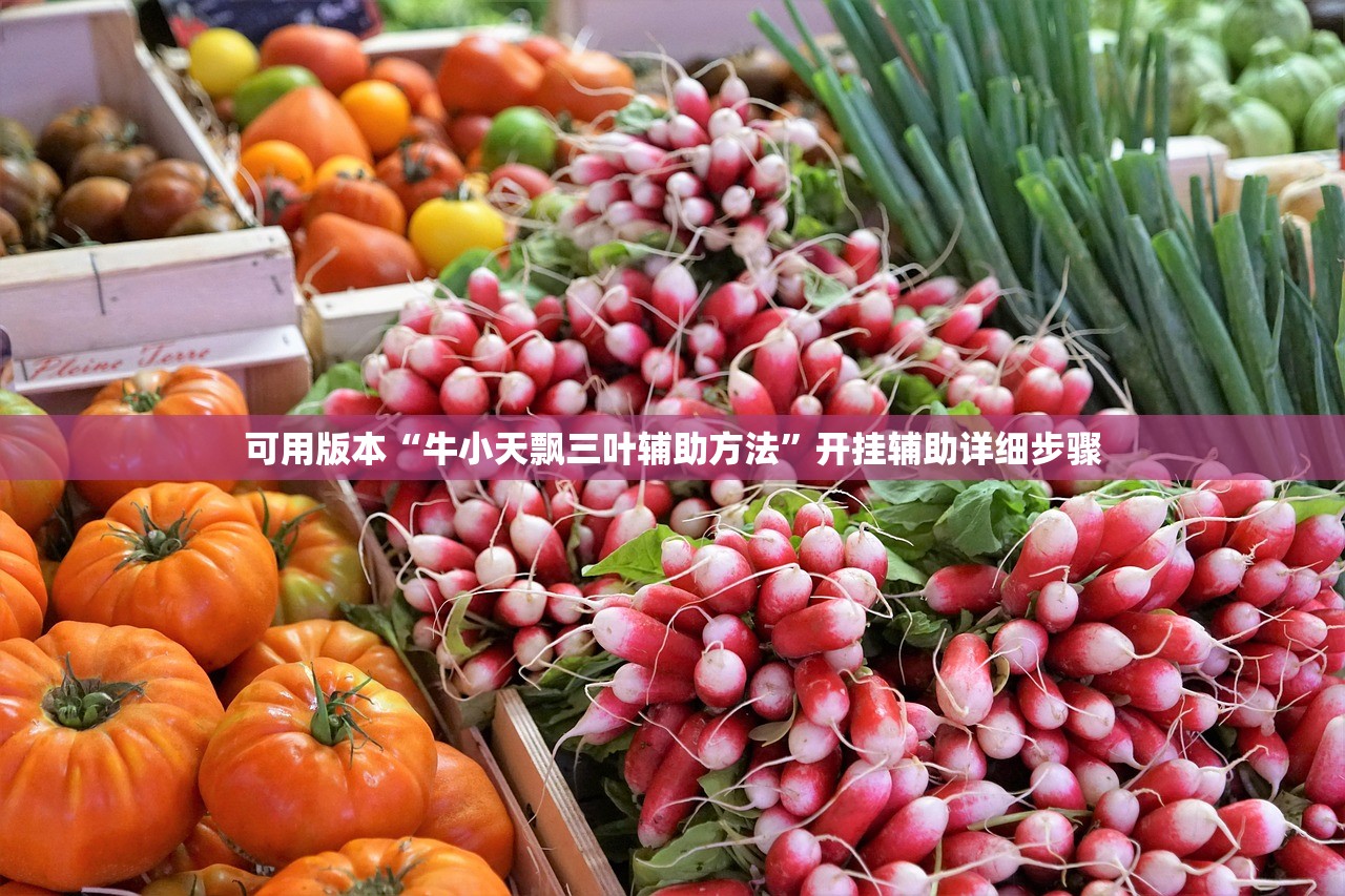 可用版本“牛小天飘三叶辅助方法”开挂辅助详细步骤