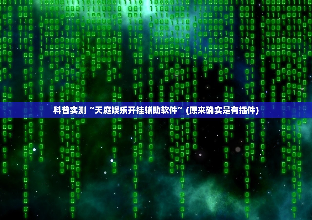 科普实测“天庭娱乐开挂辅助软件”(原来确实是有插件)
