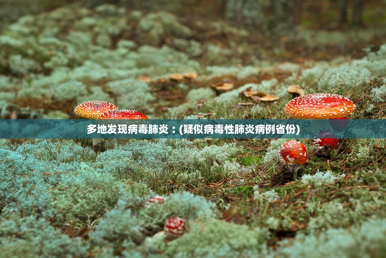 多地发现病毒肺炎︰(疑似病毒性肺炎病例省份)