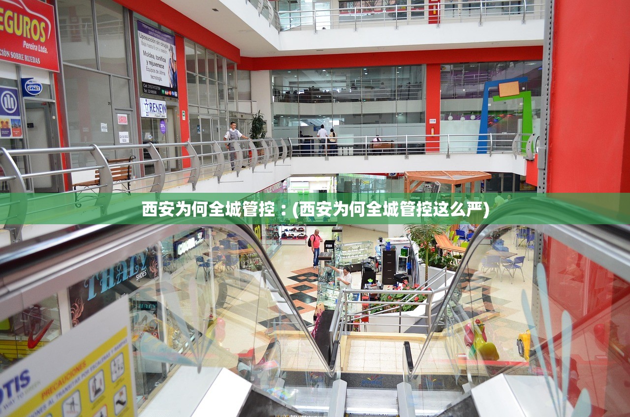 西安为何全城管控︰(西安为何全城管控这么严)