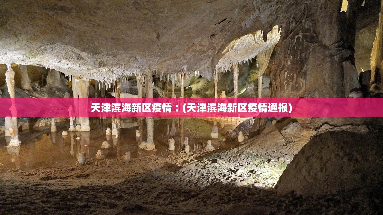 天津滨海新区疫情︰(天津滨海新区疫情通报)