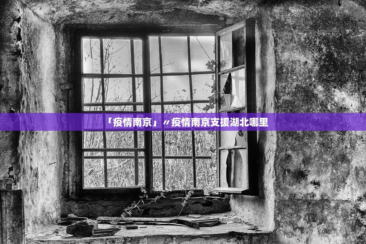 「疫情南京」〃疫情南京支援湖北哪里