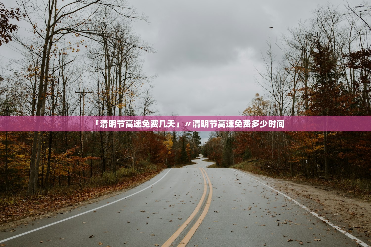 「清明节高速免费几天」〃清明节高速免费多少时间