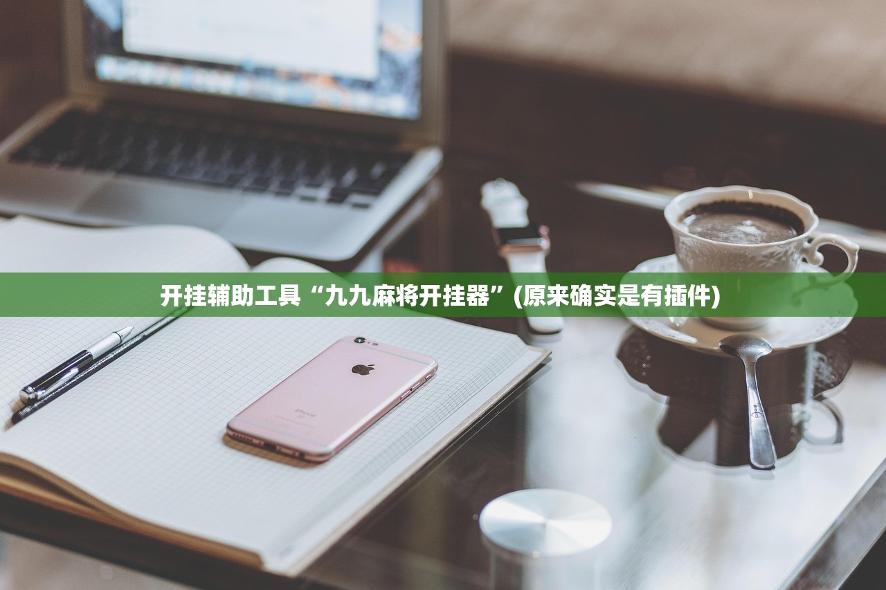 开挂辅助工具“九九麻将开挂器”(原来确实是有插件) 