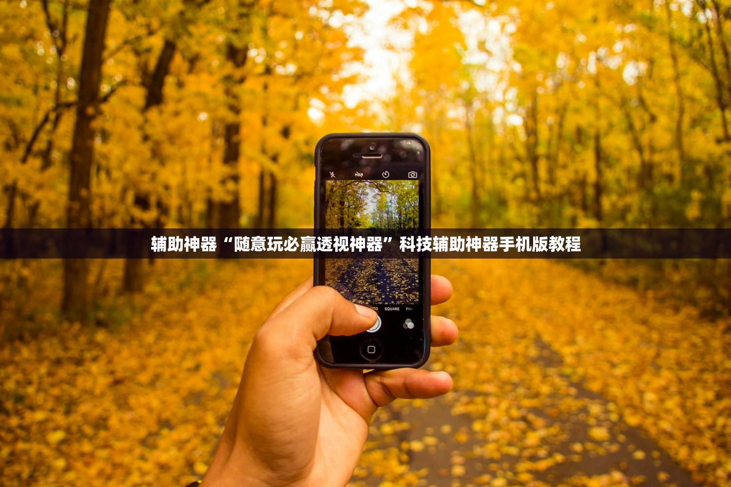 辅助神器“随意玩必赢透视神器”科技辅助神器手机版教程